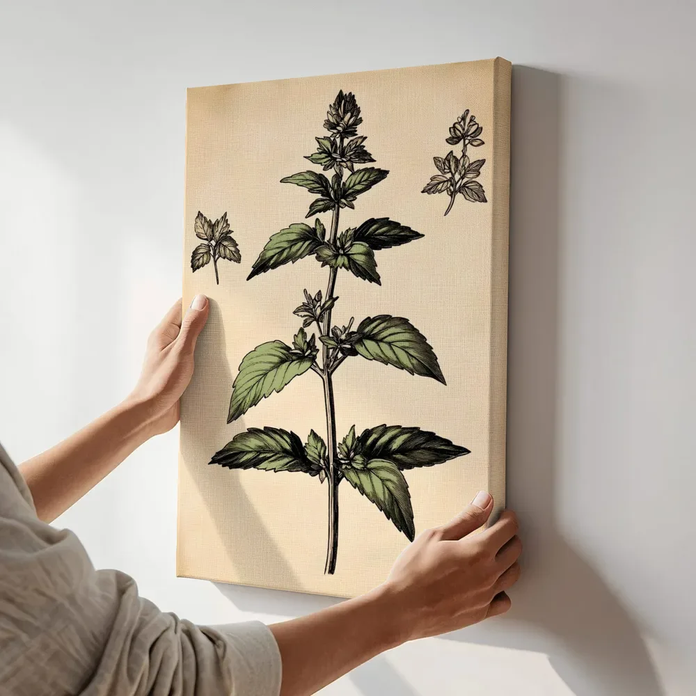 Sfeerimpressie: Veldbloem botanische illustratie terwijl het aan de muur wordt gehangen