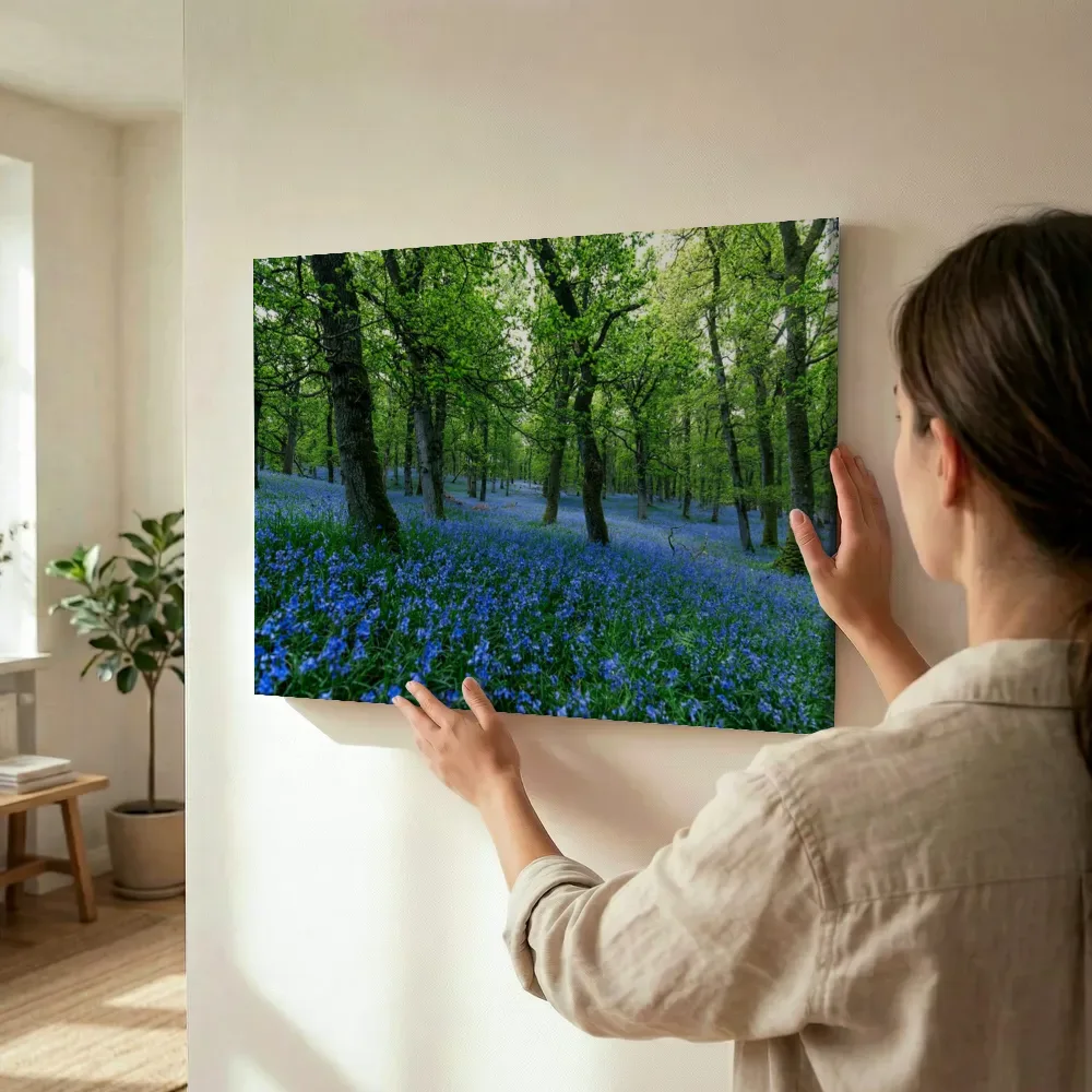 Sfeerimpressie: Voorjaarsbos met paarsblauw bloementapijt terwijl het wordt opgehangen