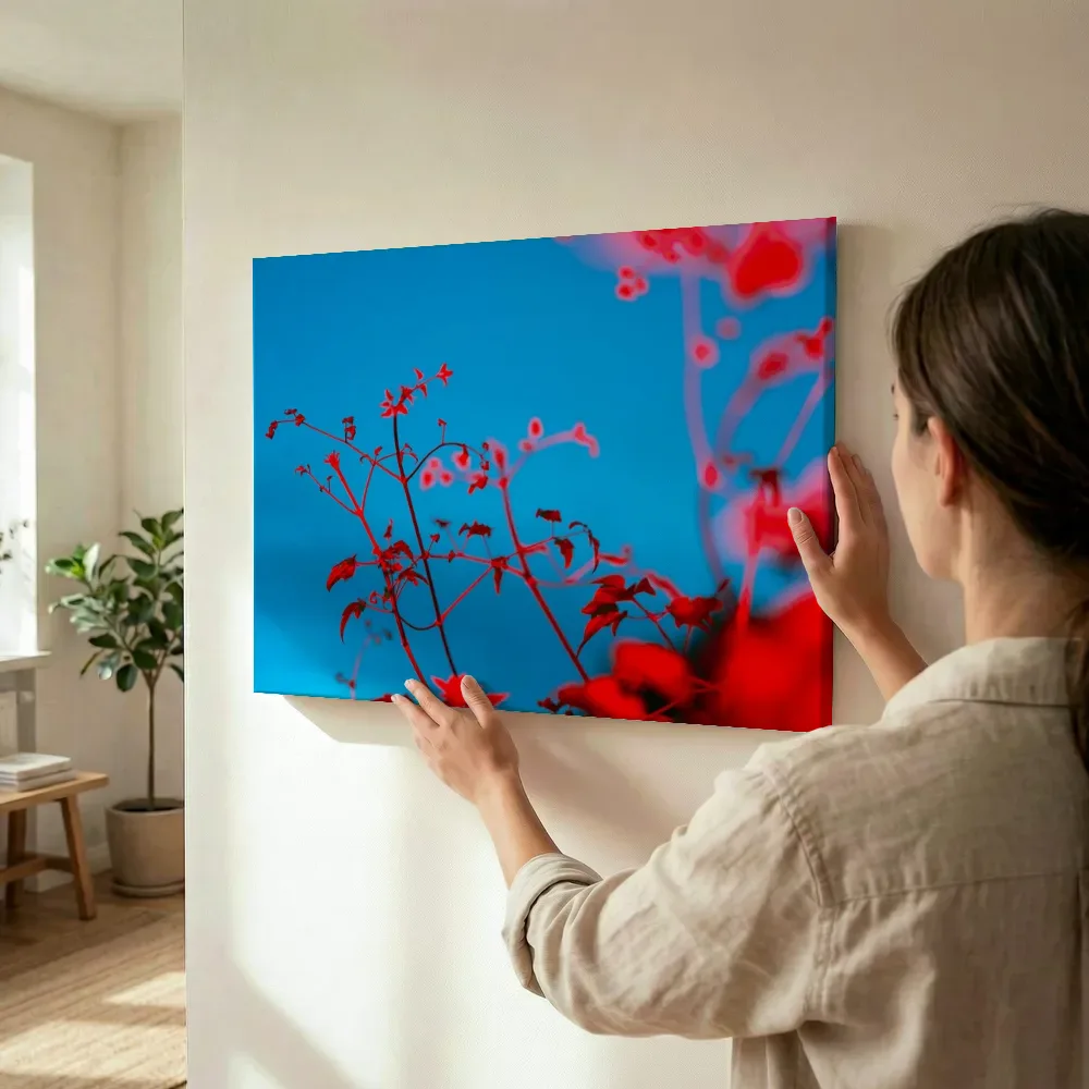 Sfeerimpressie: Vurig rode bloesems tegen blauwe lucht terwijl het wordt opgehangen