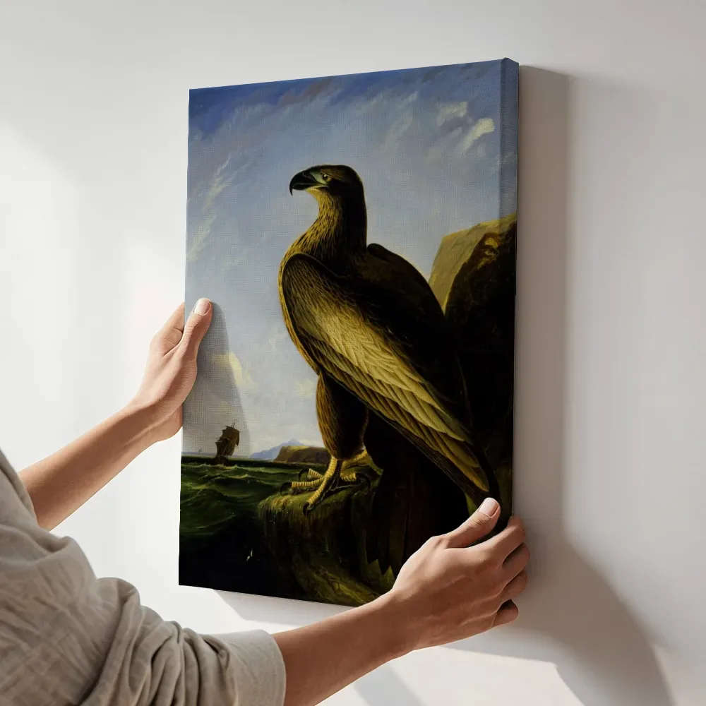 Sfeerimpressie: Washington-zeearend van John James Audubon terwijl het aan de muur wordt gehangen