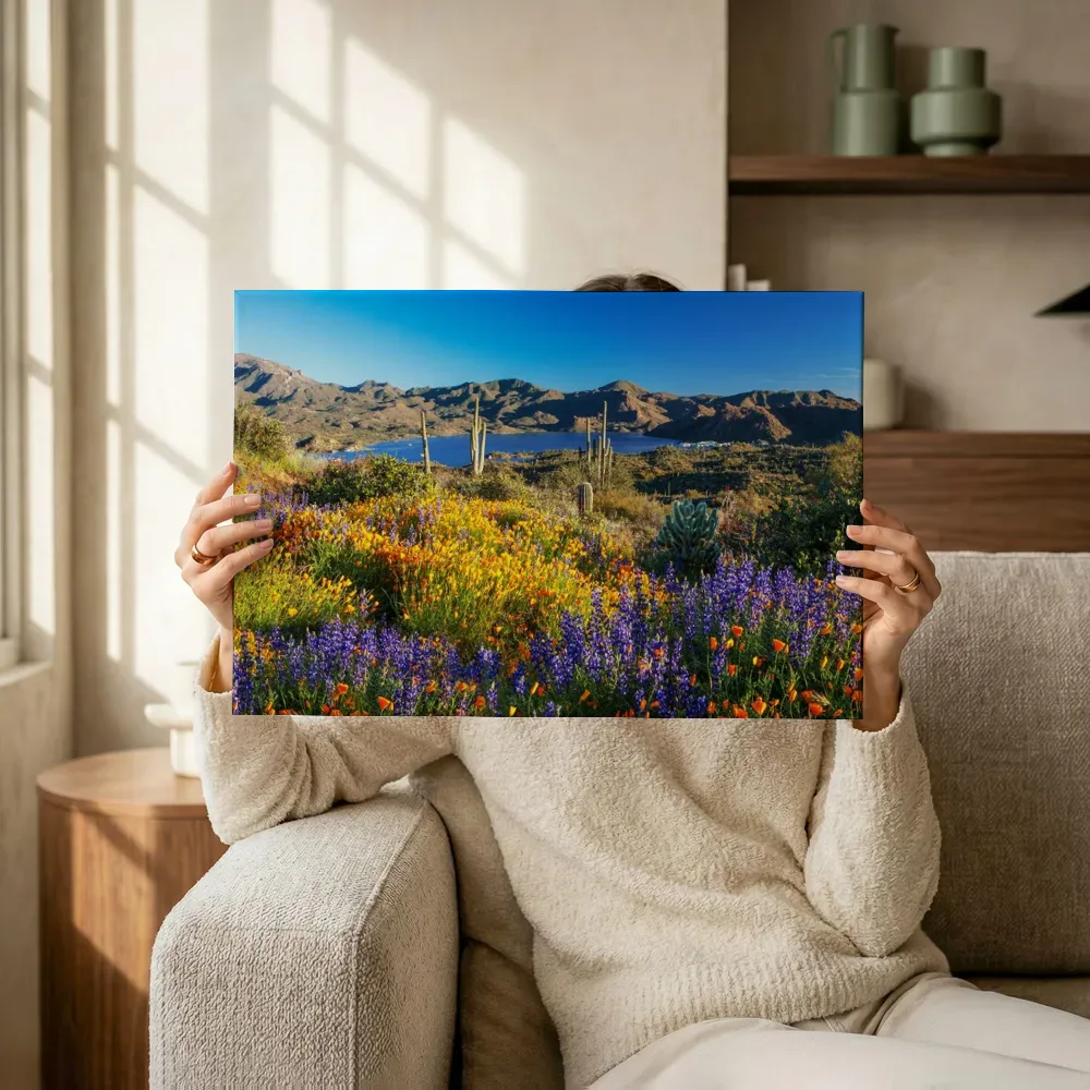 Sfeerimpressie: Wildbloemenveld met cactussen en bergmeer terwijl het omhoog wordt gehouden