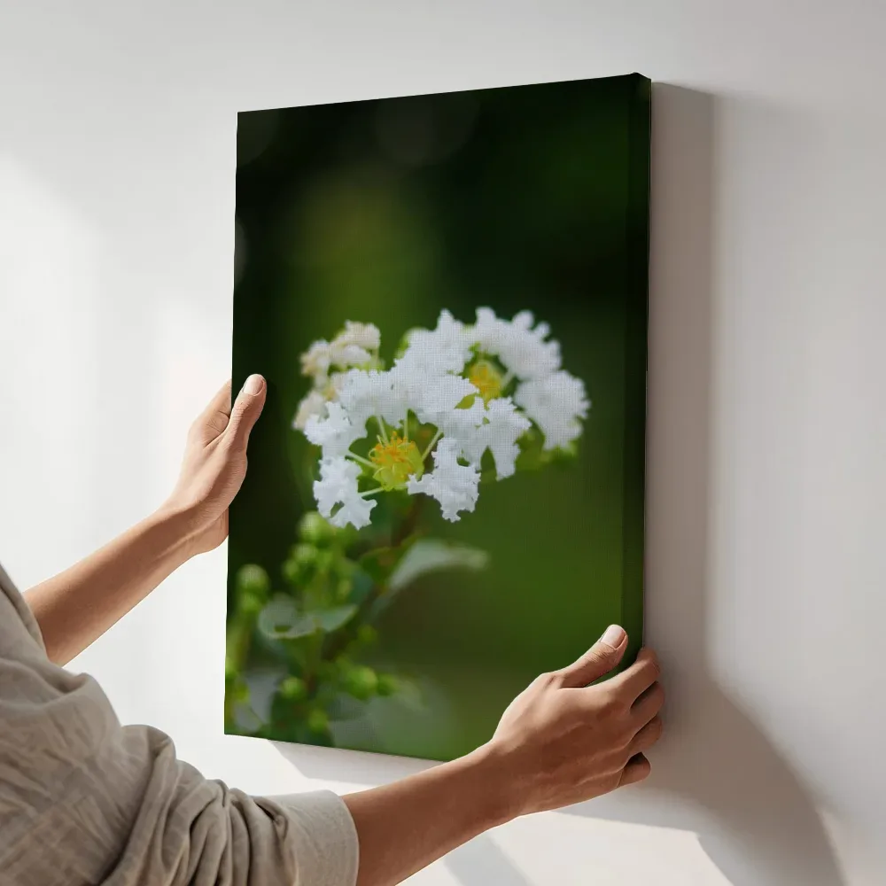 Sfeerimpressie: Witte bloesem in zacht bokeh terwijl het aan de muur wordt gehangen