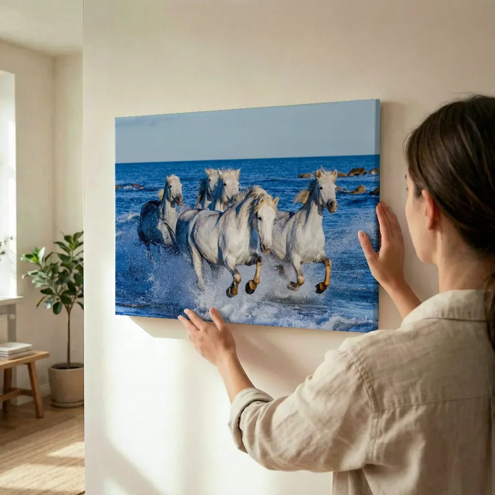 Sfeerimpressie: Witte paarden door de zee terwijl het wordt opgehangen