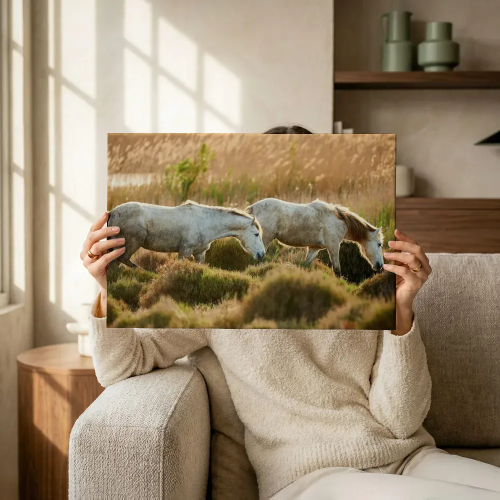 Sfeerimpressie: Witte paarden in wilde weide terwijl het omhoog wordt gehouden