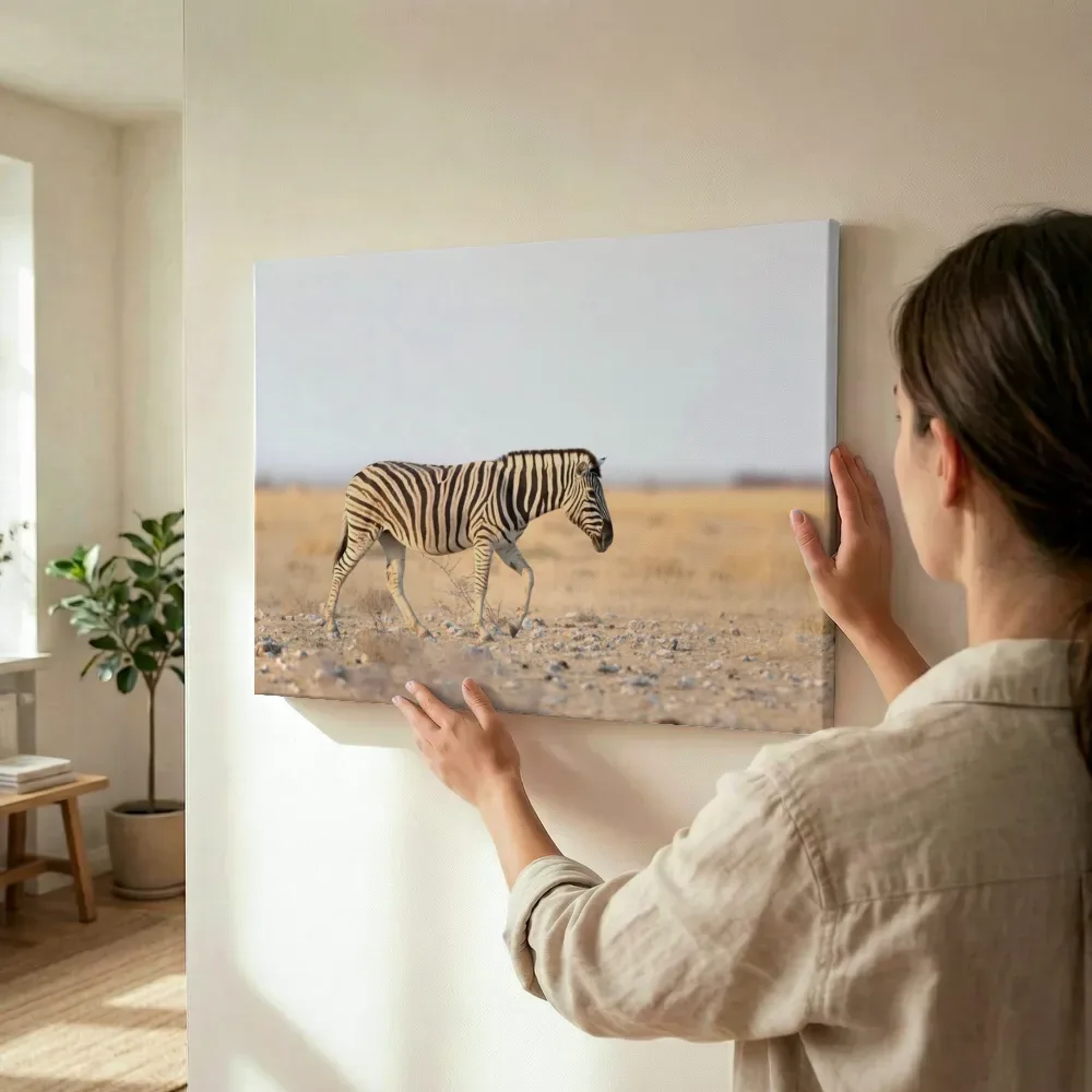 Sfeerimpressie: Zebra op de savanne terwijl het wordt opgehangen