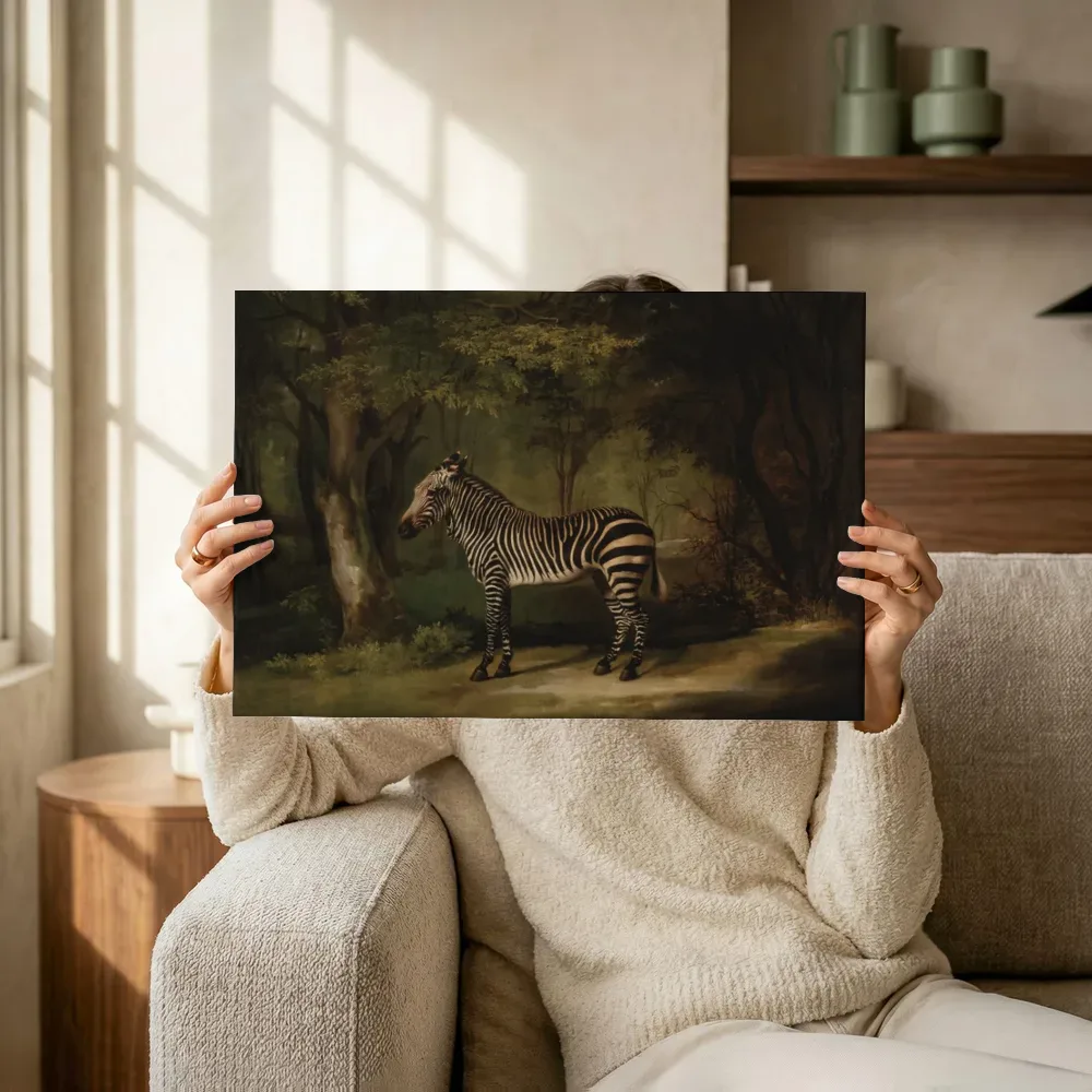 Sfeerimpressie: Zebra van George Stubbs terwijl het omhoog wordt gehouden