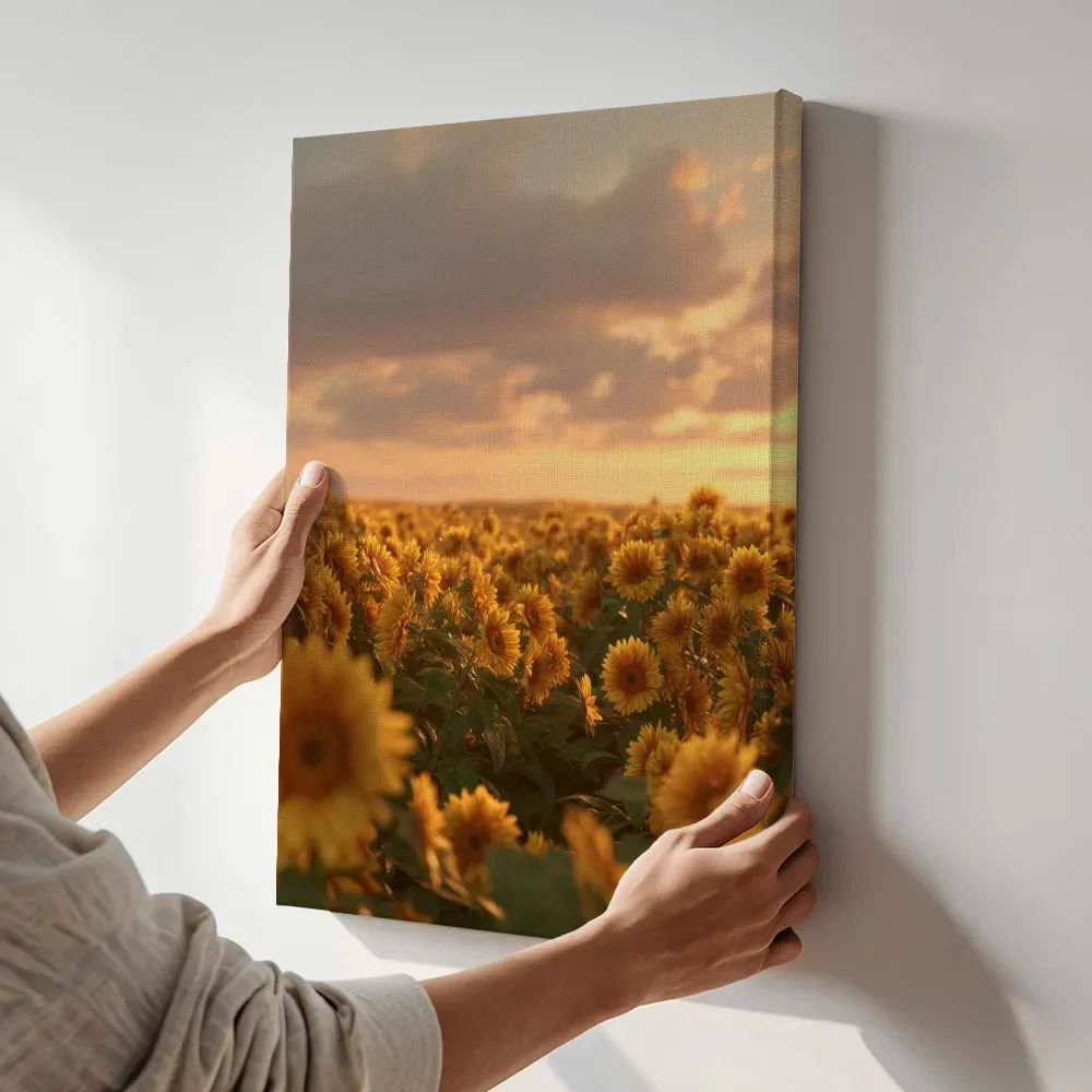 Sfeerimpressie: Zee van zonnebloemen bij zonsondergang terwijl het aan de muur wordt gehangen