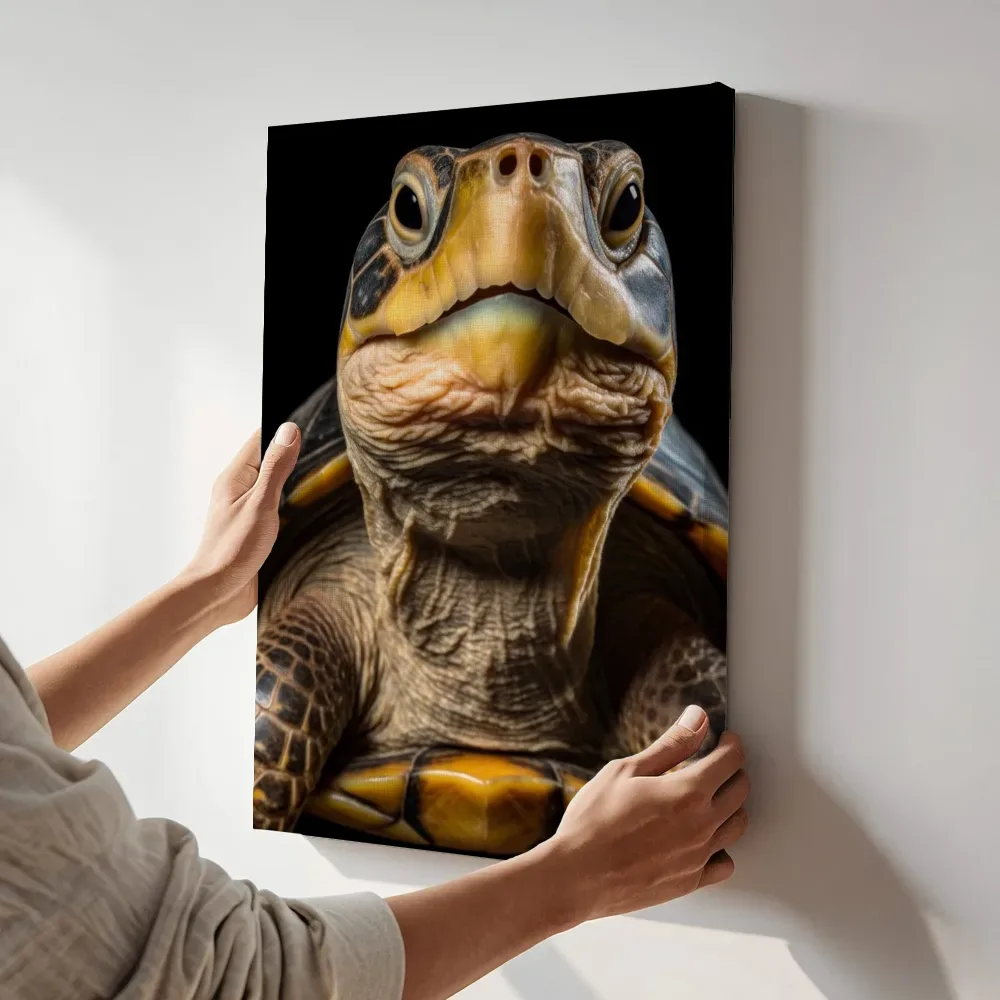 Sfeerimpressie: Zeeschildpad kijkt omhoog terwijl het aan de muur wordt gehangen