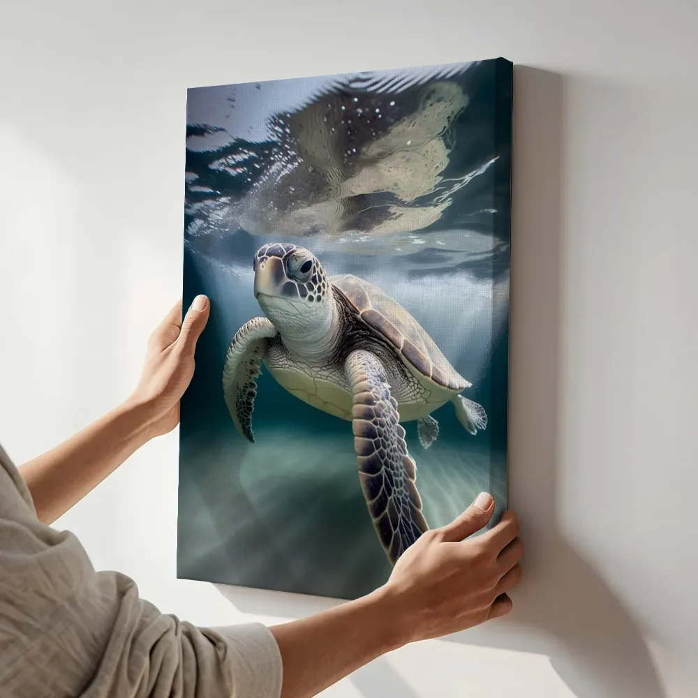 Sfeerimpressie: Zeeschildpad in ondiep water terwijl het aan de muur wordt gehangen