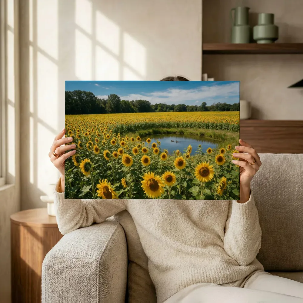Sfeerimpressie: Zonnebloem bij volle zon 4 terwijl het omhoog wordt gehouden