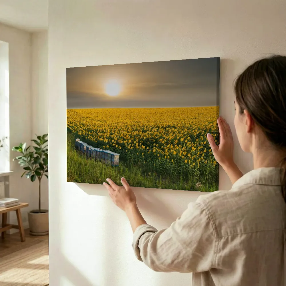 Sfeerimpressie: Zonnebloemenveld bij zonsondergang met bijenkorven terwijl het wordt opgehangen