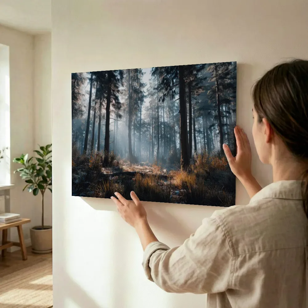 Sfeerimpressie: Zonnestralen door het mistige dennenbos terwijl het wordt opgehangen