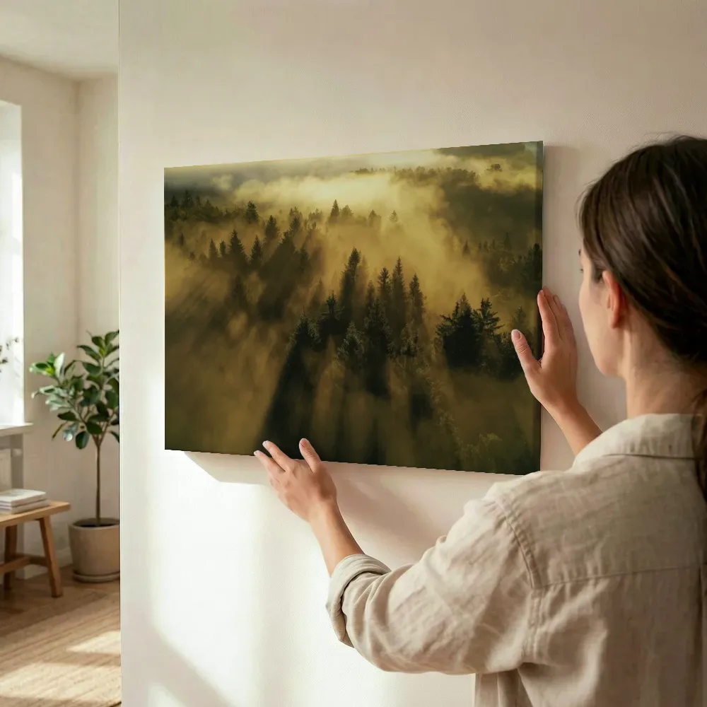 Sfeerimpressie: Zonnestralen door het ochtendbos terwijl het wordt opgehangen