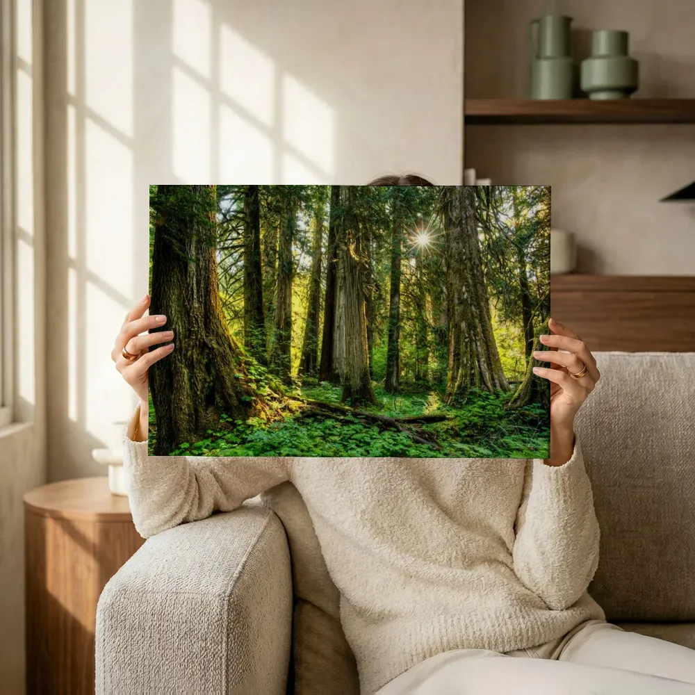 Sfeerimpressie: Zonnestralen door het oerbos terwijl het omhoog wordt gehouden