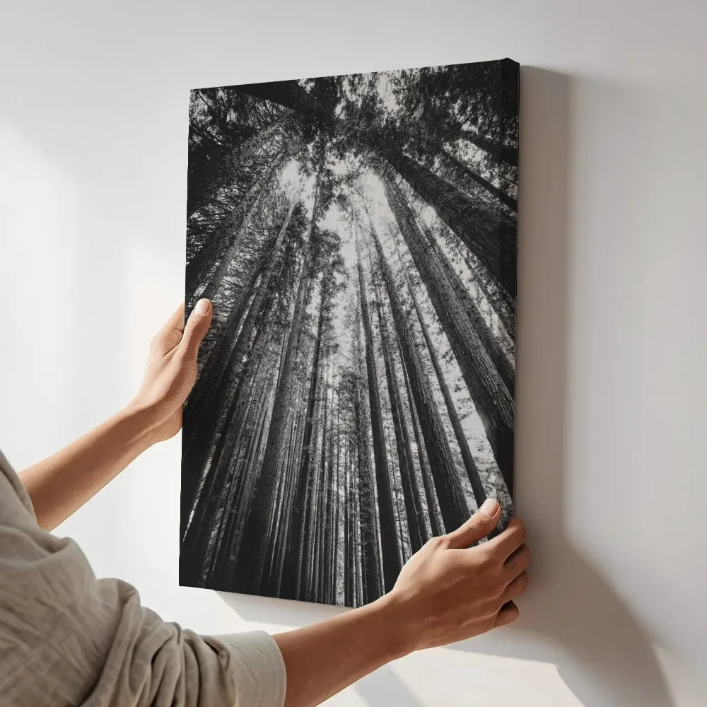 Sfeerimpressie: Zwart-wit bomenkroon in het bos terwijl het aan de muur wordt gehangen