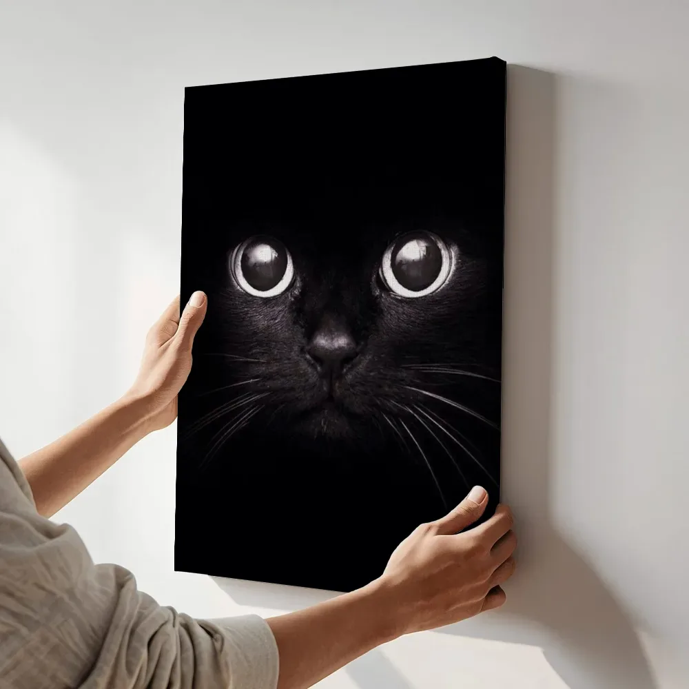 Sfeerimpressie: Zwarte kat ogen terwijl het aan de muur wordt gehangen