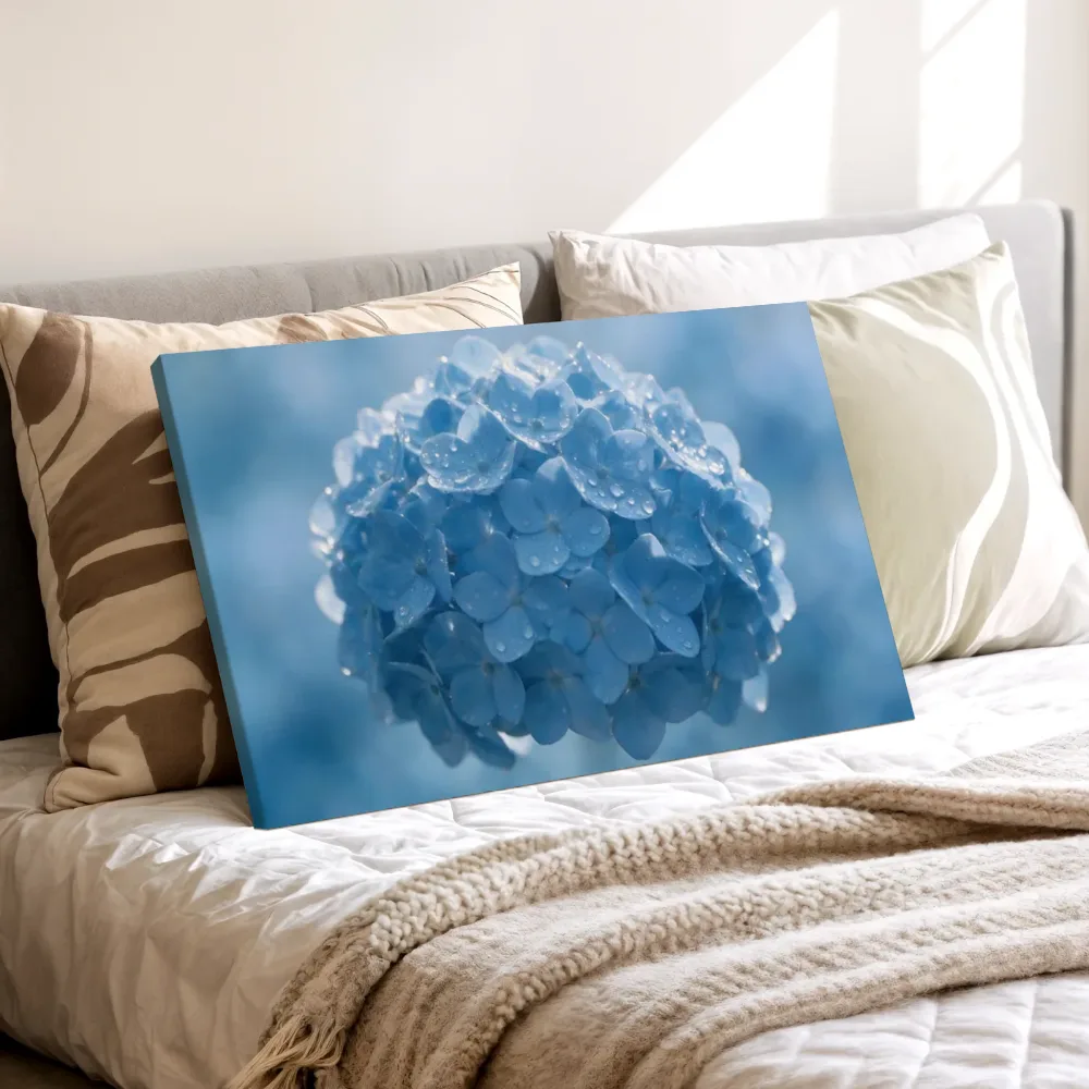 Hortensia in dauw, glinsterlicht, hemelsblauw, canvas schilderij uit de collectie blauw