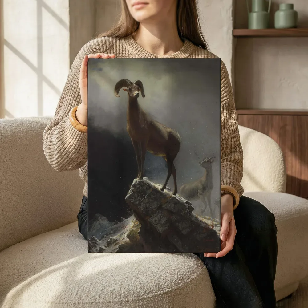 Rocky Mountain Sheep van Albert Bierstadt, canvas schilderij uit de collectie grijs