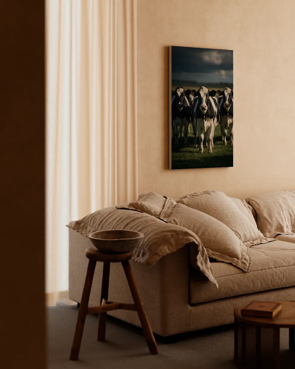 Koe recht in de lens, een enkele lichtbundel als een spotlicht, canvas schilderij uit de collectie koeien