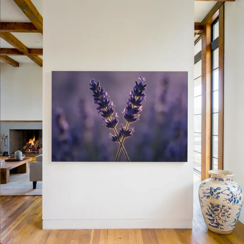 Lavendel in het gouden uur, diep paarsblauw 5, canvas schilderij uit de collectie paars