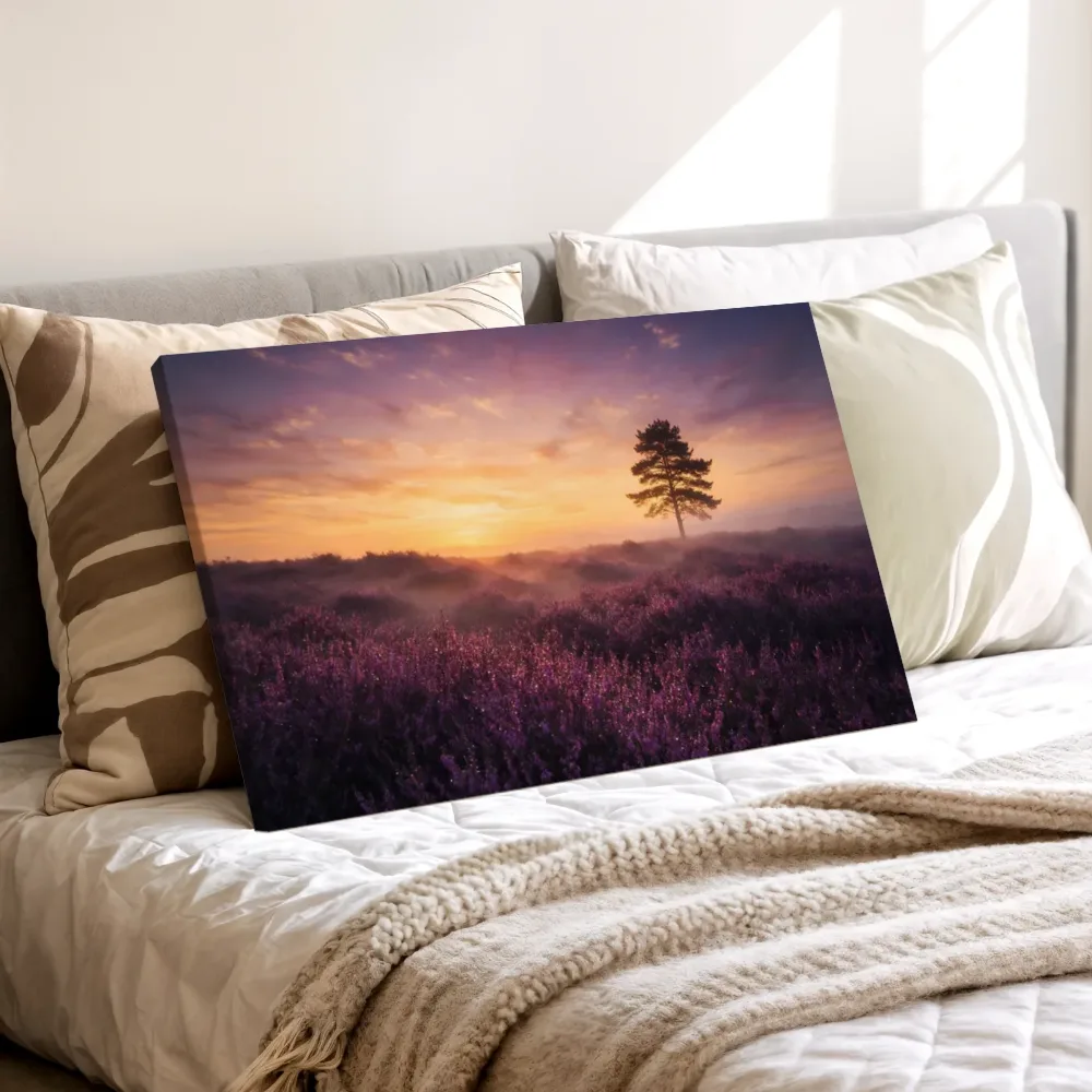 Heide zonsopkomst in het gouden uur, canvas schilderij uit de collectie zonsopkomst & zonsondergang